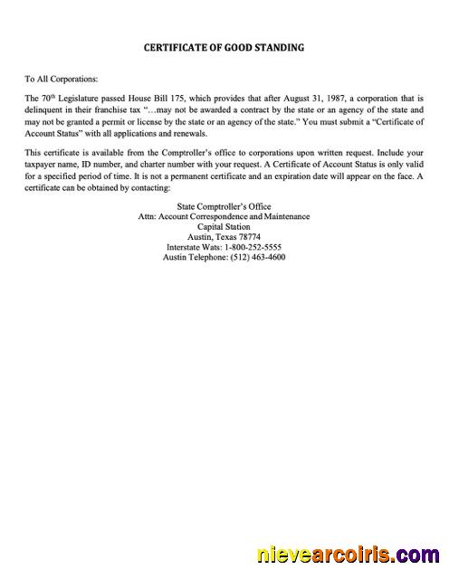 USA Texas certificate of good standing